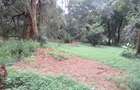 4 ac Land at Mushroom Gardens - 12
