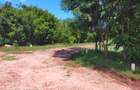 Land in Vipingo - 7