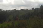 0.125 ac Residential Land in Ngong - 10