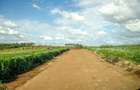 0.25 ac Residential Land at Kamiti Corner - 2