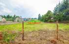 0.05 ha Residential Land at Ondiri - 5