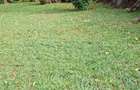 Commercial Land at Westlands - 1