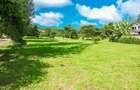 Land in Ngong - 15