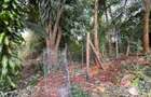 1 ac Land in Kitisuru - 10