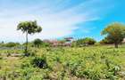 Land at Diani Beach - 15