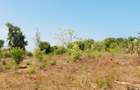 Land at Vipingo - 15
