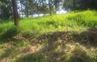 1.2 ac Land in Ngong - 11