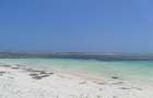 20 ac Land in Kilifi - 2