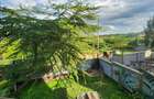 4 Bed House with En Suite at Olekasasi - 12