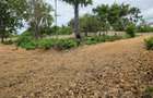 0.0405 ha Residential Land at Galu Beach Diani Beach Road - 3