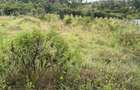 0.0113 ac Land in Ngong - 2