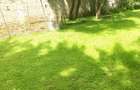 Land in Kilimani - 4