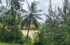 10 ac Land at Mtwapa Creekside - 5