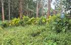 0.25 ac Land in Ruaka - 5
