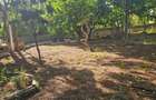 1 ac Land in Nyali Area - 3