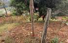 0.25 ac Land in Nyeri - 7