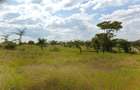 Residential Land at Old Muthaiga - 1
