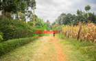 0.05 ha Residential Land in Kikuyu Town - 10