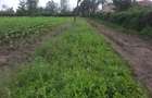 0.125 ac Residential Land in Ongata Rongai - 6