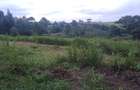 Land at Tigoni Limuru Golf Club - 15