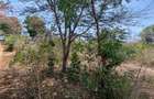 1 ac Land at Mtwapa Creekside - 14