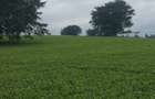 3 ac Land in Limuru - 2