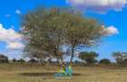 Commercial Land at Sajiloni - 8