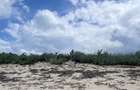 4 ac Land in Watamu - 1