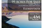 Land at Lake Elementaita - 1