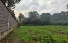 Residential Land at Ndege Road - 4