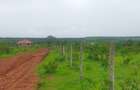 Land in Kilifi County - 17