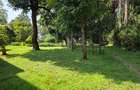 Commercial Land in Lavington - 10