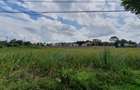 0.5 ac Residential Land at Mumwe Drive - 4