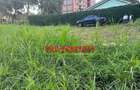 0.05 ha Commercial Land at Southern Bypass - 3