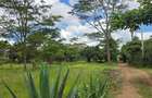 4 ac Land at Juja - 3