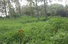 Land at Kibiko Ngong - 7