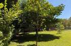 4 Bed Townhouse with Staff Quarters at Bogani Road - 19