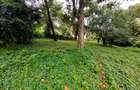 Residential Land at Lower Kabete Rd - 9