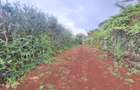 1 ac Land at Runda Groove - 15