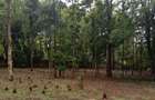 0.5 ac Residential Land at Three Dee Lane - 4