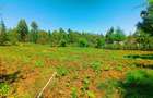 500 m² Residential Land at Runana Area - 6