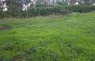 0.1 ha Residential Land in Ngong - 7