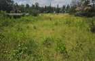 0.6 ac Land at Rundaevergreen - 1