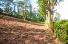 0.809371 ha Residential Land at Matasia - 11