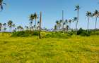 Land at Kilifi Bofa Beach - 18
