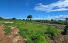 1 ac Land at Vipingo - 9