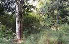 4,047 m² Commercial Land in Kilifi County - 4