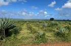 4,046.86 m² Land in Vipingo - 15