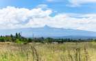 0.125 ac Residential Land in Nanyuki - 9