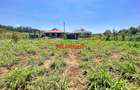 0.125 ac Residential Land at Kamangu - 14